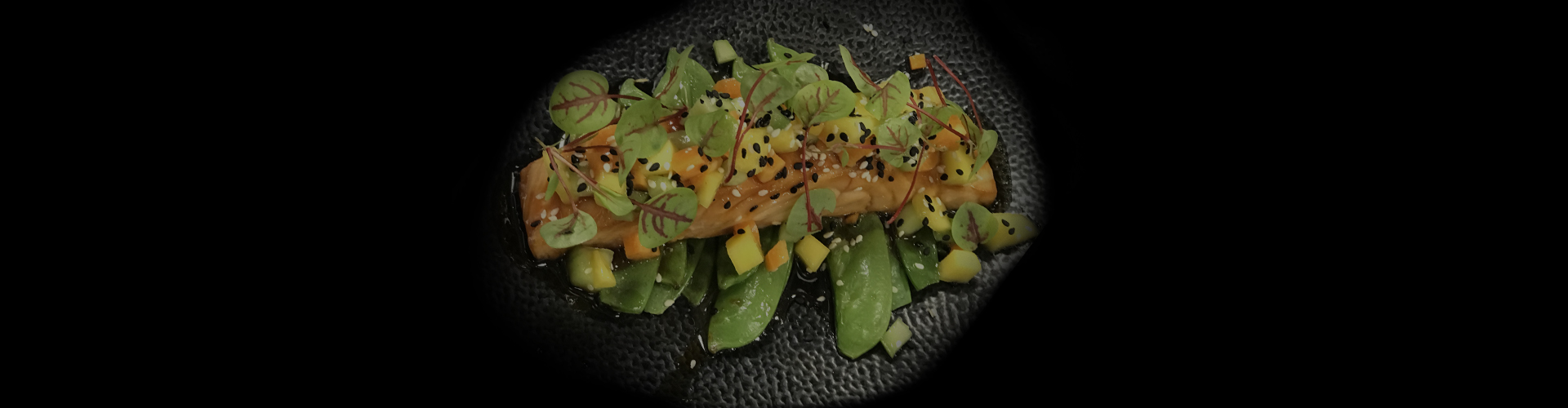 slide-salmone-teriaki